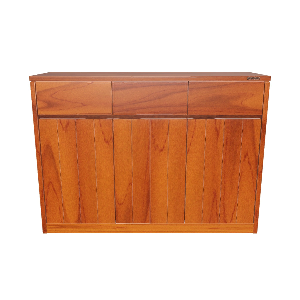 SKAP CABINET
